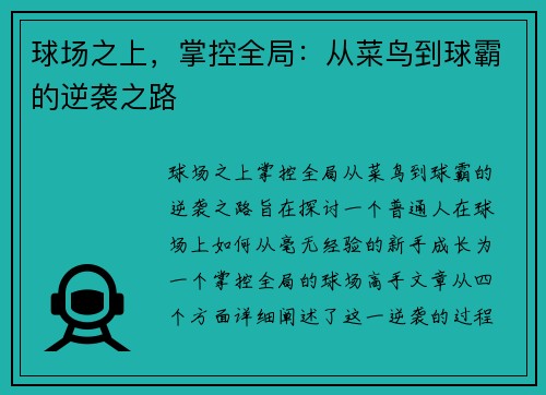 球场之上，掌控全局：从菜鸟到球霸的逆袭之路
