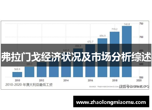 弗拉门戈经济状况及市场分析综述 弗拉门戈经济状况及市场分析综述